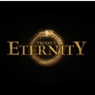 Project Eternity - v kostce
