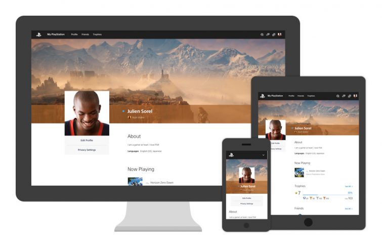 playstation network browser