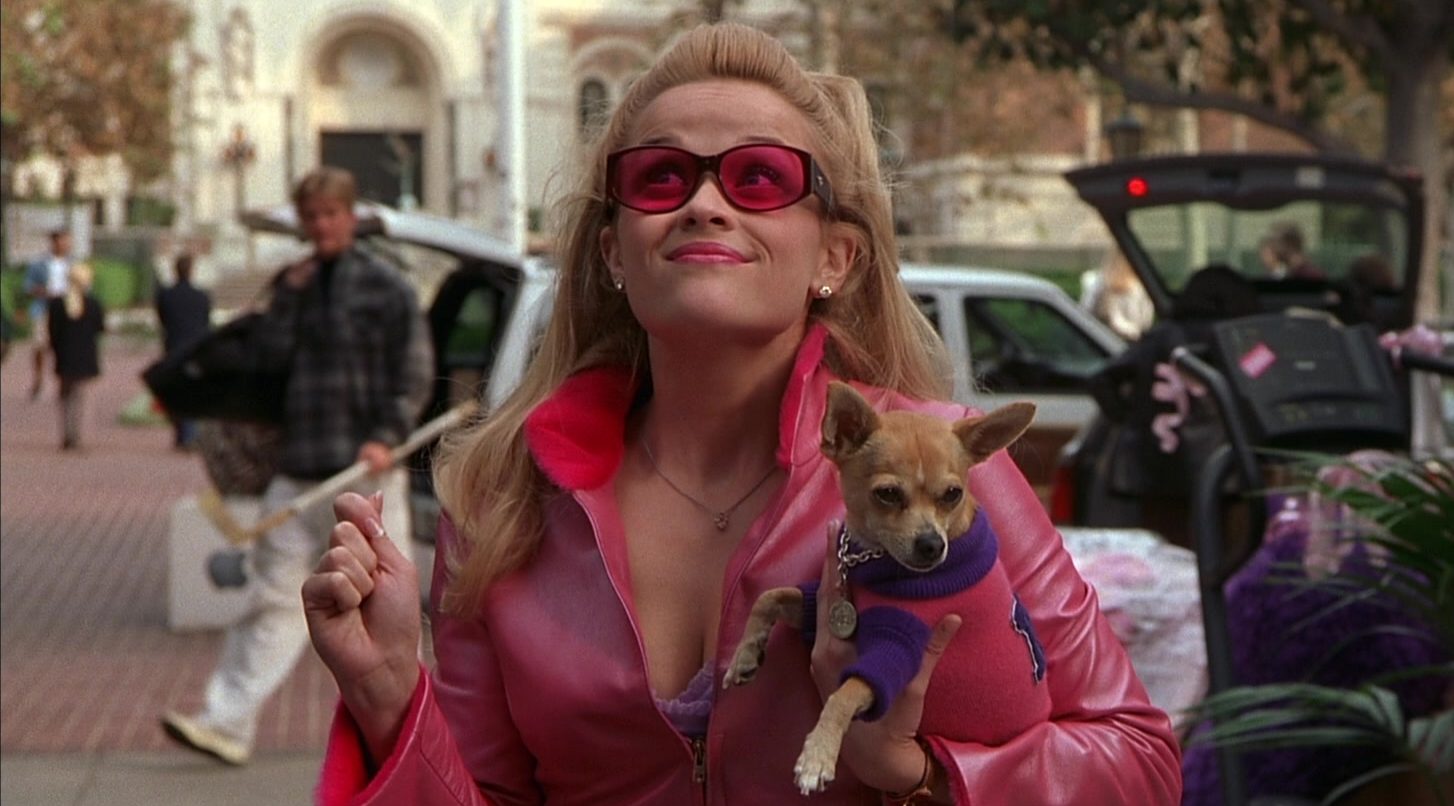 Legally blonde - screenshot