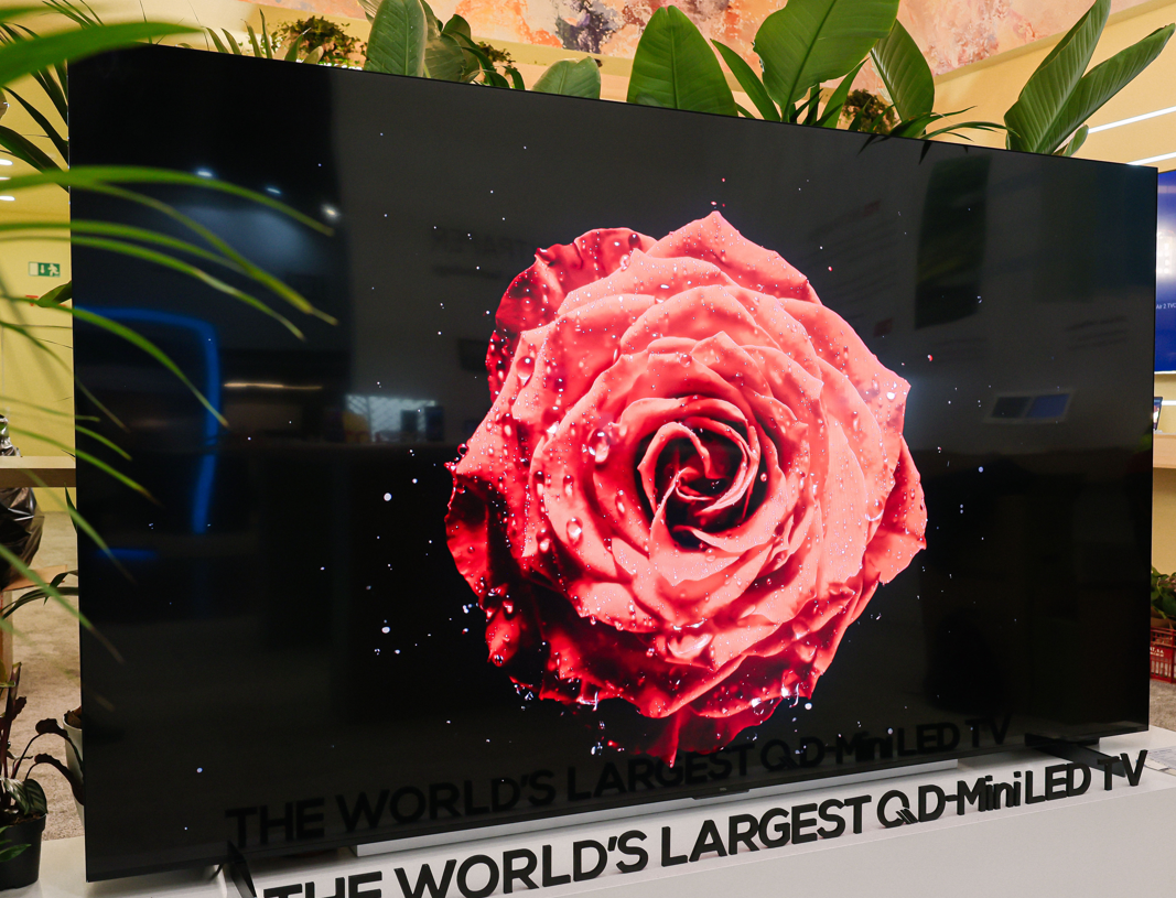 TCL MWC 2024 115 inches TV