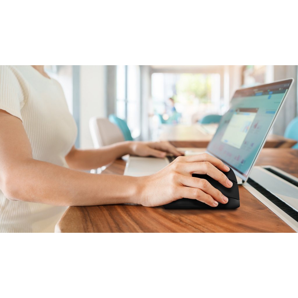 EVOLVEO TwinWerty image